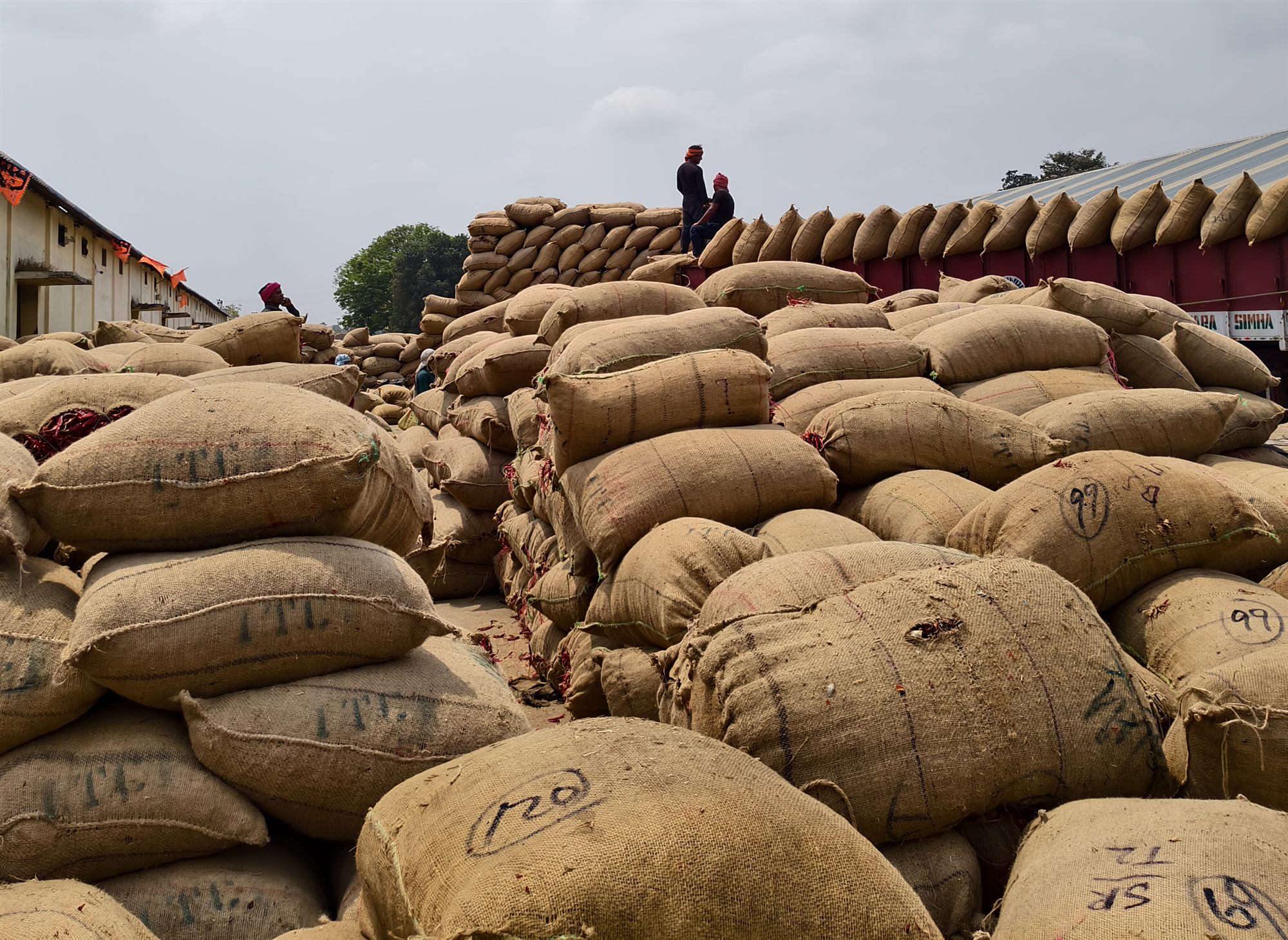 Bulk Packaging for Export