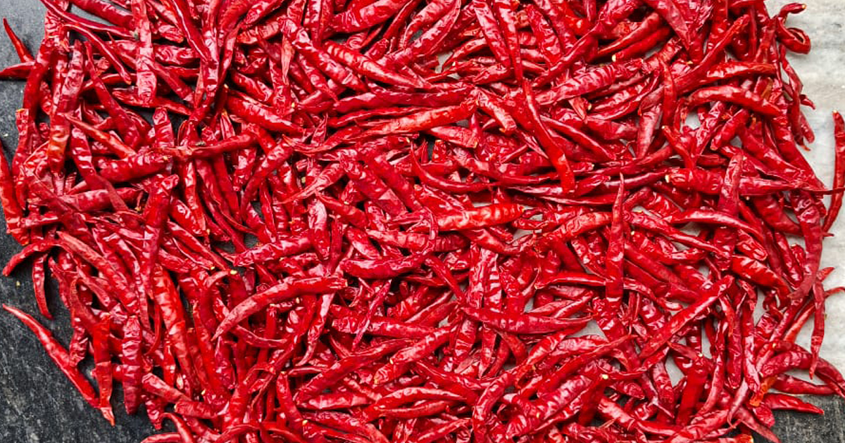 Teja S17 Red Chilli Export Quality from Guntur India